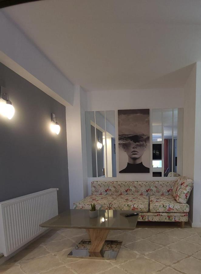 David'S Place Флорешть Екстер'єр фото