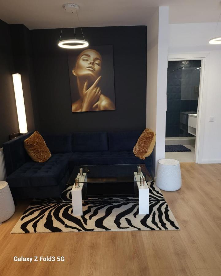 David'S Place Флорешть Екстер'єр фото
