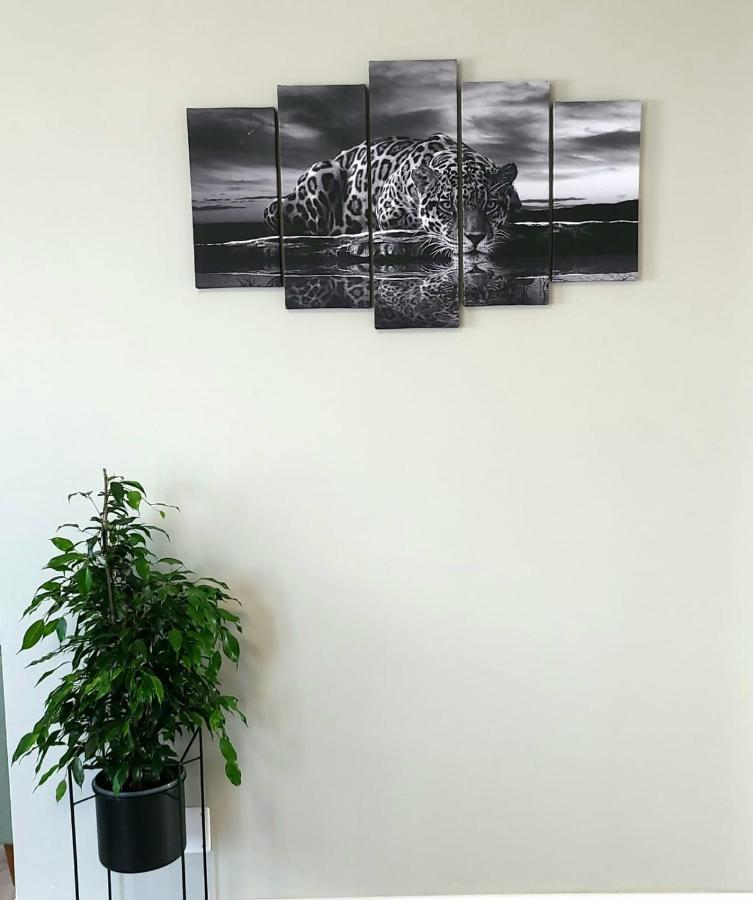 David'S Place Флорешть Екстер'єр фото