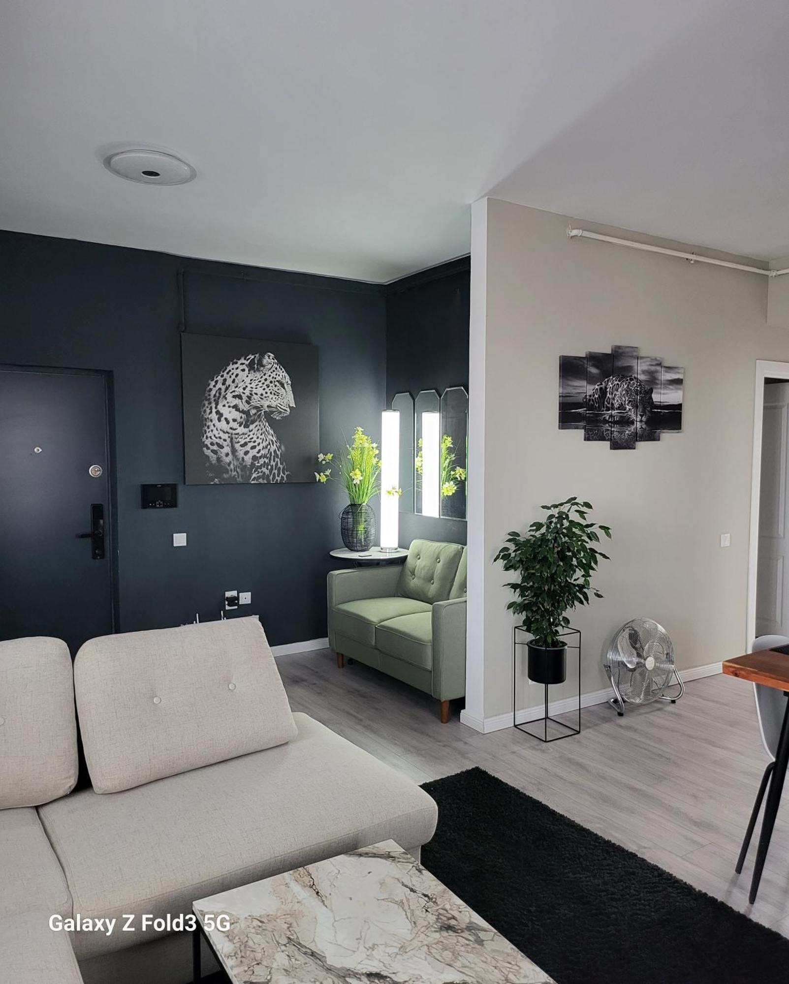 David'S Place Флорешть Екстер'єр фото